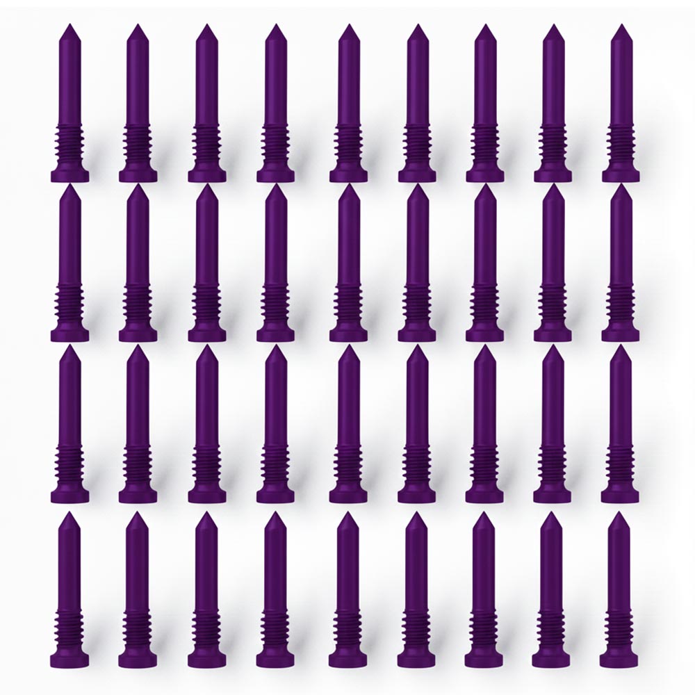 1753 پيچ زير قاب آیفون X to 16Pm يک بسته 10 عددی به رنگ Purple - تصویر 1